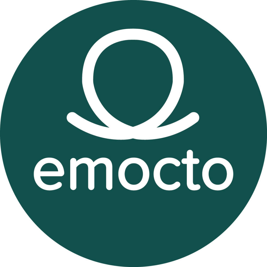 Get Seen Online. Increase Your Google Ranking...1, 2, 3, Emocto!